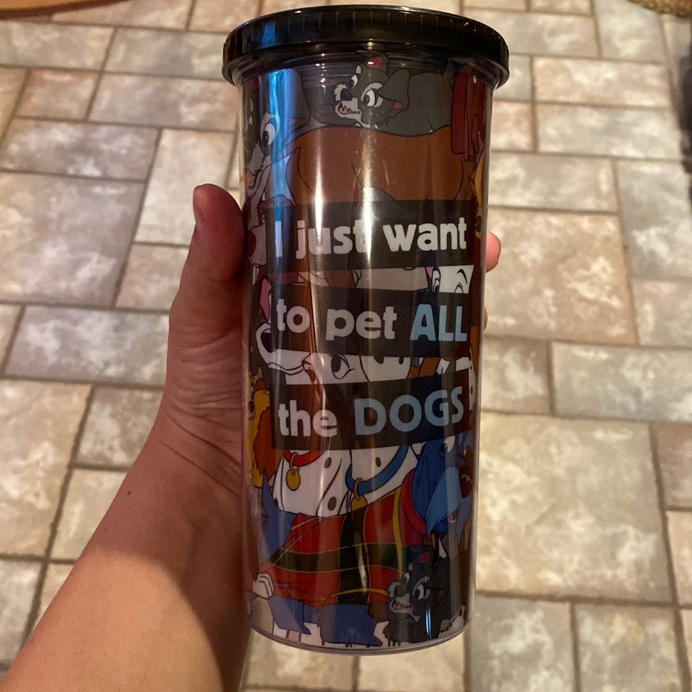 Gently used Disney Tumbler